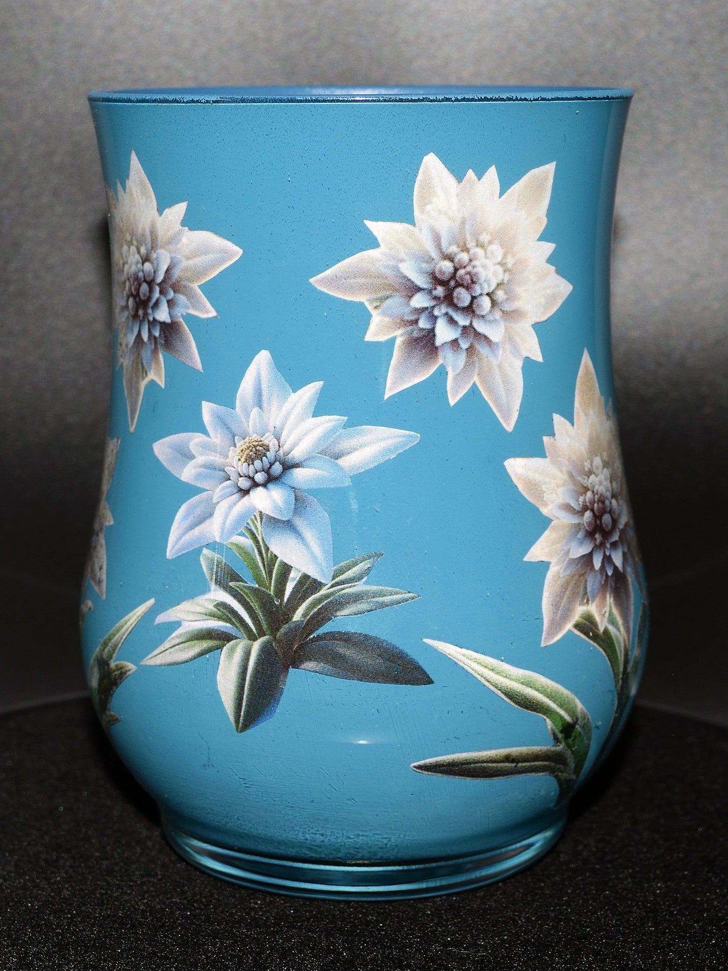 Vaas Edelweiss klein